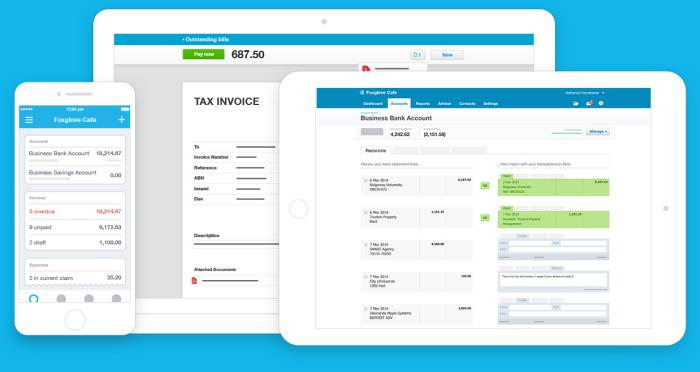 Xero Accounting Across Devices